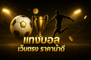 แทงบอล เว็บตรง